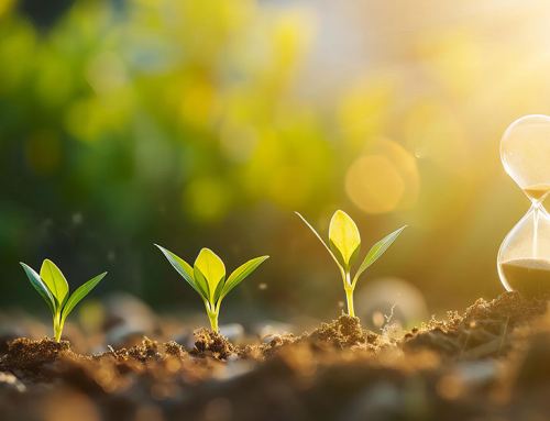 A time for renewal: How SMEs can streamline processes for a more seamless operation